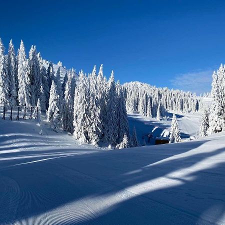 Olimpik House Jahorina Villa Bagian luar foto