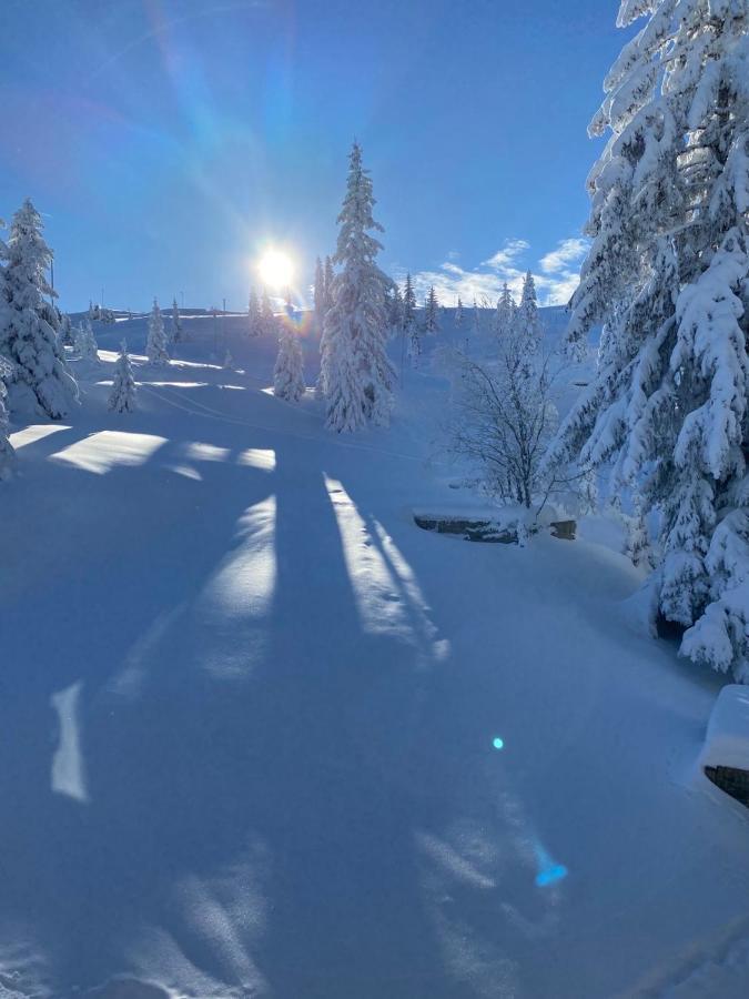 Olimpik House Jahorina Villa Bagian luar foto