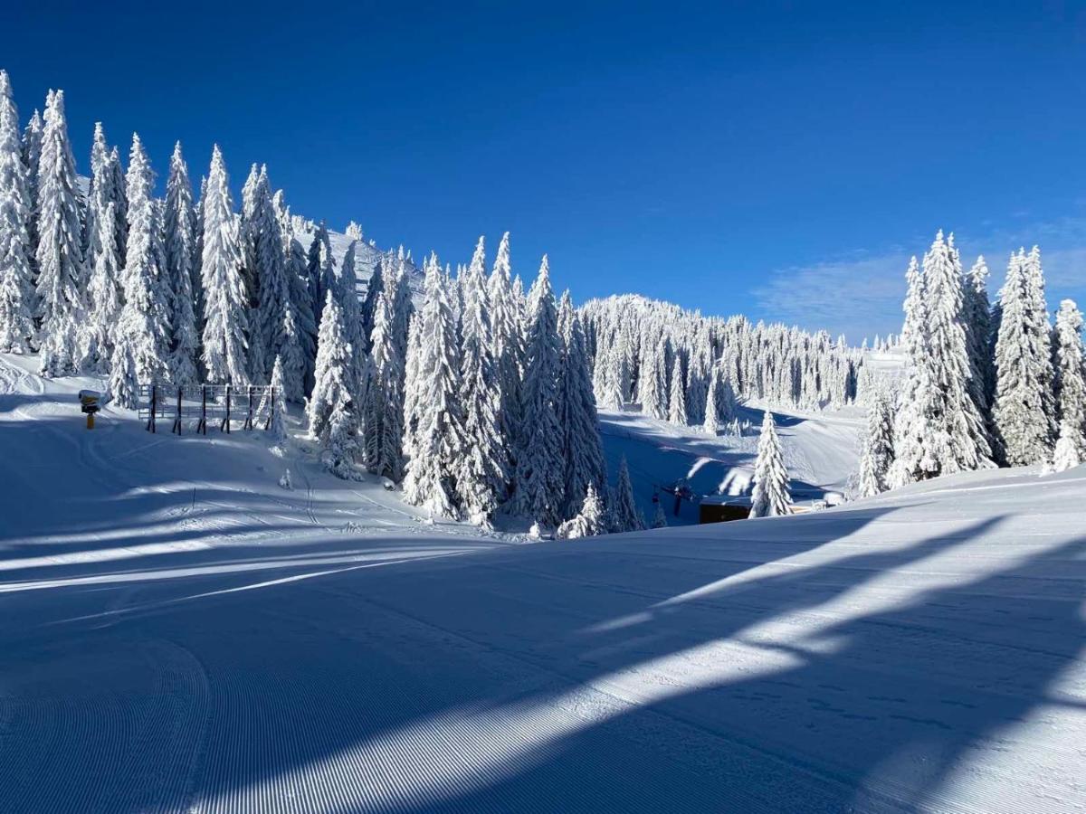 Olimpik House Jahorina Villa Bagian luar foto
