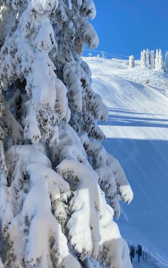 Olimpik House Jahorina Villa Bagian luar foto
